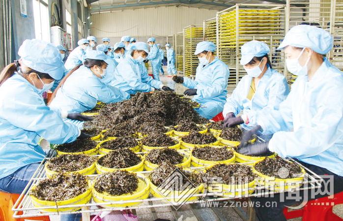 东山：“龙头”带动 助民致富