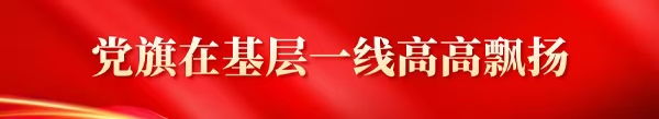 党旗在基层