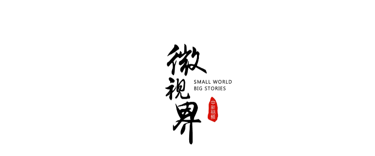 微视界 四语村官